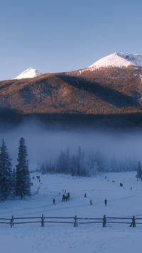 Kanas Misty Snowy Morning Light