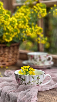 Have you ever eaten rapeseed flowers