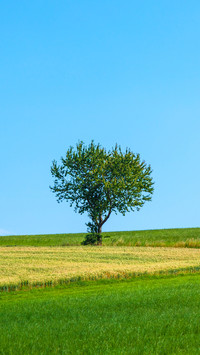 Eye protection and fresh grass