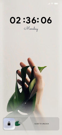 Minimal_One