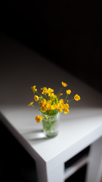Composition of bright yellow wild flowers in a glass beaker