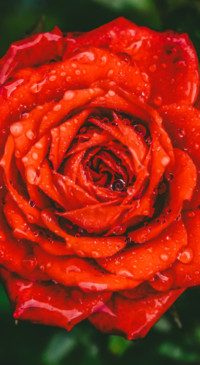 Droplets (27)