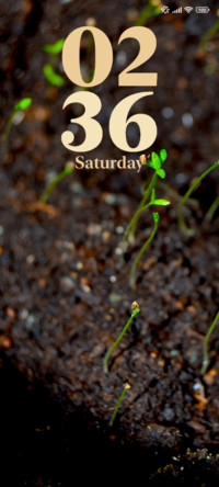 Growing Plant
