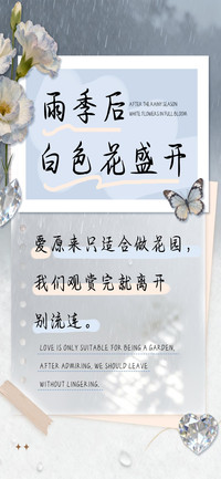 雨季后白色花盛开