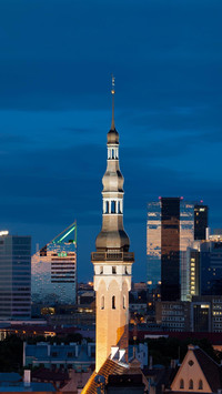 黎明之城塔林