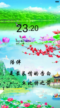 荷塘花瓣
