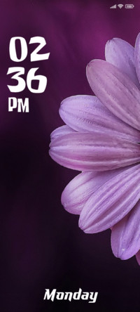 Blossom
