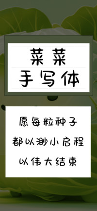 菜菜手写体