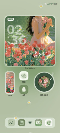 春日郁金香组件