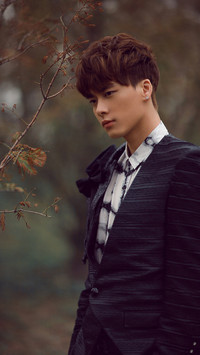 李易峰