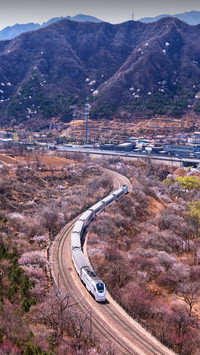 Beautiful Railway With Flowers on Both Sides