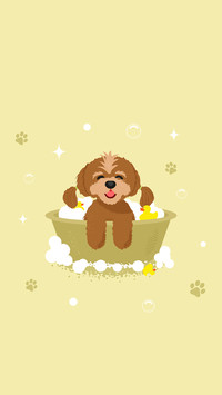 Cute pet bubble bath time 2