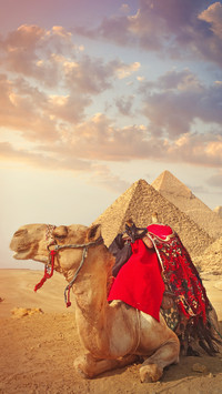 The mystery of the pyramids of ancient egypt