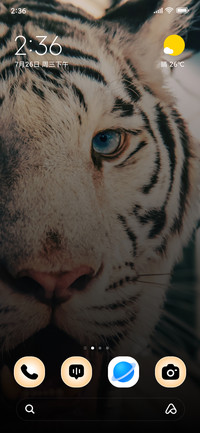 Ivory Fury