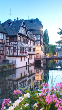 Fall in love with Alsace 61
