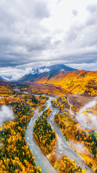 Drunken autumn scenery punch in 67
