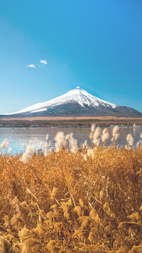 富士山活火山