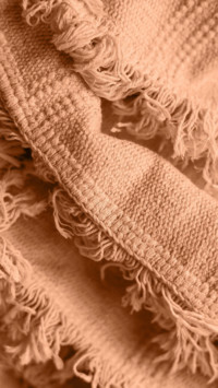 Camel blanket