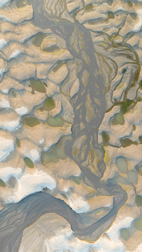 The mudflats of Tianxingzhou in the Yangtze River