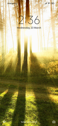 Sunshine