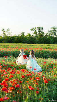 flower (12)