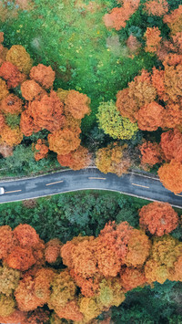 Autumn Day Zhao Gong Mountain Water Pine Forest Road