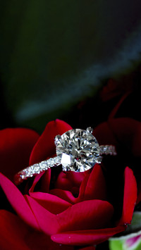 Perfect Diamond Jewellery in Rose