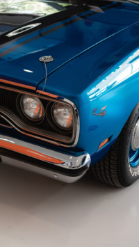 Muscle (11)
