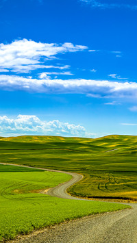Green fields