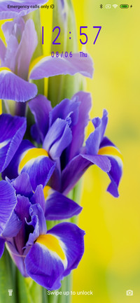 Purple Flower_3MDS