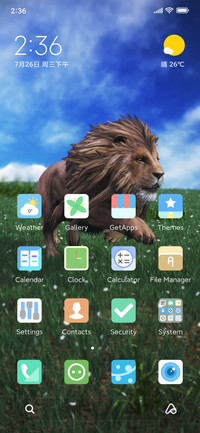 Lion