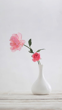 Four practical preservation methods for flowers and material