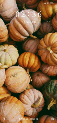 Pumpkins_3MDS