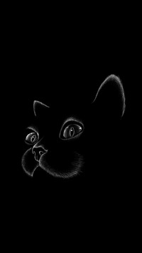 黑猫先生-拍信图库