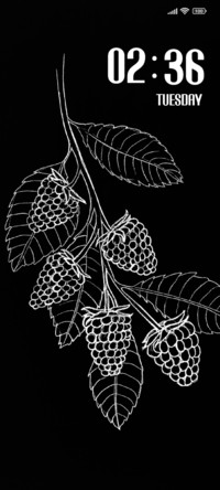Black Strawberry