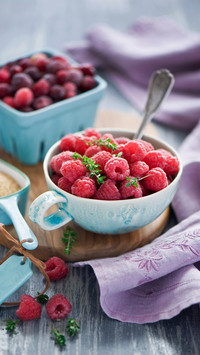 Nutritional value of raspberry 63