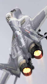 F14