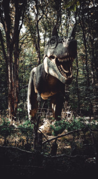 Dinosaur (5)