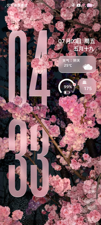 液态玻璃 花予