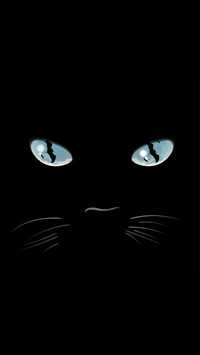 Black cool cat