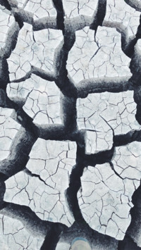 Mother Earth (18)