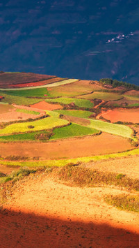 I must go to the red soil in this life