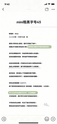 mini粗黑字号45