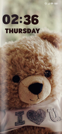 Teddy bear
