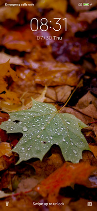 Canadian Leaf - Orange_3MDS