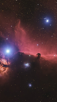 Horsehead Nebula