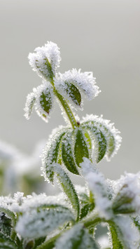 Winter scenery-09