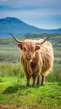 Rare animals in the world 05