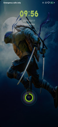 Ninja turtles