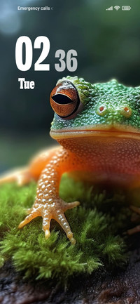 Frog